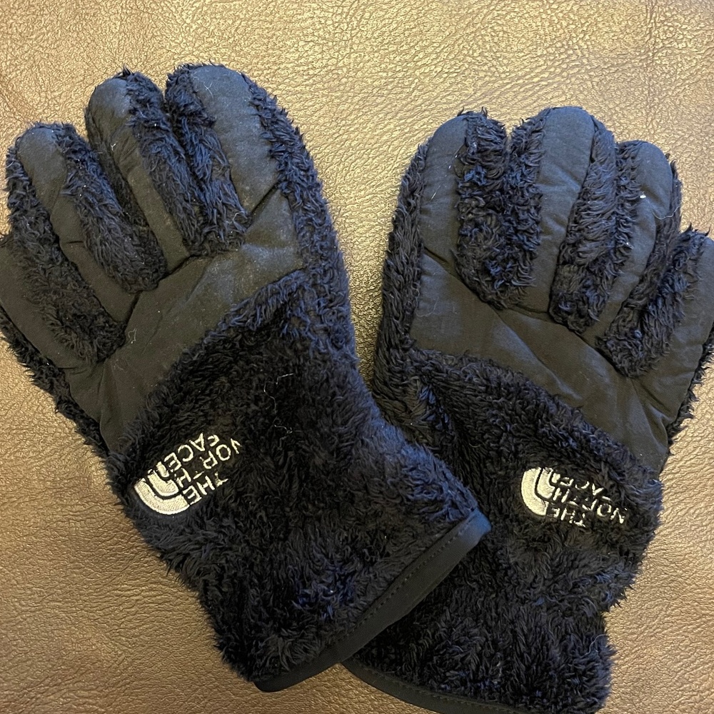 North Face Gloves